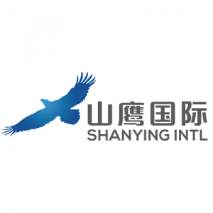 Logo_SHANYING_INTL