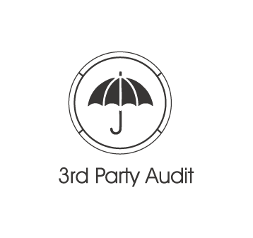 3rd party audit